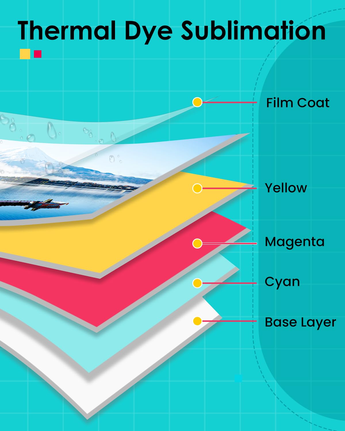 Совместимый картридж LP-80 для – обзор и цена Solvent Printer Ink